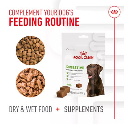 Product Royal Canin Digestive Supplement Soft Chews for Adult Dogs, 60 count