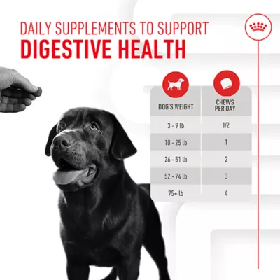 Product Royal Canin Digestive Supplement Soft Chews for Adult Dogs, 60 count