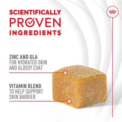 Product Royal Canin, Royal Canin Skin & Coat Supplement Soft Chews for Adult Dogs, 8.47oz pouch