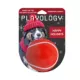 Product Playology Holiday Grandma's Gravy Scented Squeaky Chew Ball Dog Toy, Jumbo