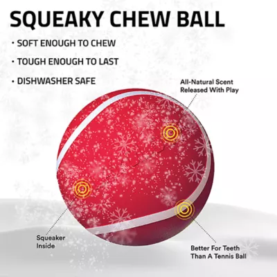 Product Playology Holiday Grandma's Gravy Scented Squeaky Chew Ball Dog Toy, Jumbo