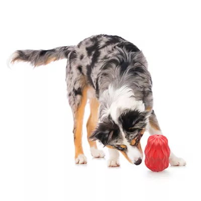 Product Playology Holiday Grandma's Gravy Scented Squeaky Pinecone Dog Toy, Jumbo