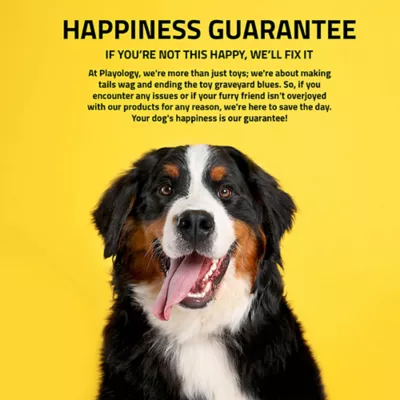 Product Playology Holiday Grandma's Gravy Scented Squeaky Pinecone Dog Toy, Jumbo