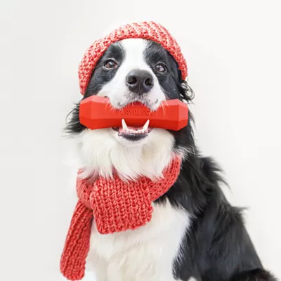 Product Playology Holiday Grandma's Gravy Scented Squeaky Chew Stick Dog Toy, Medium