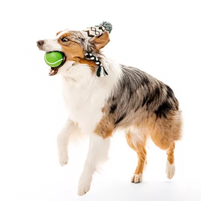 Product Playology Holiday Mom's Turkey Scented Squeaky Chew Ball Dog Toy, Jumbo