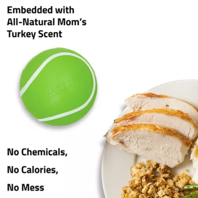 Product Playology Holiday Mom's Turkey Scented Squeaky Chew Ball Dog Toy, Jumbo