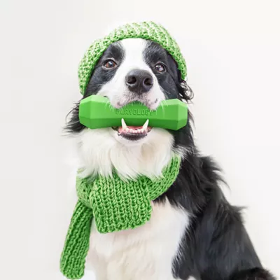 Product Playology Holiday Mom's Turkey Scented Squeaky Chew Stick Dog Toy, Medium