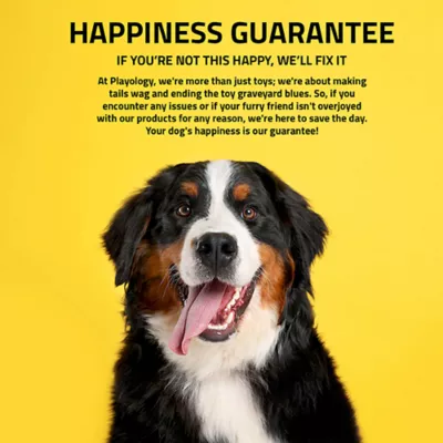 Product Playology Holiday Mom's Turkey Scented Squeaky Chew Stick Dog Toy, Medium