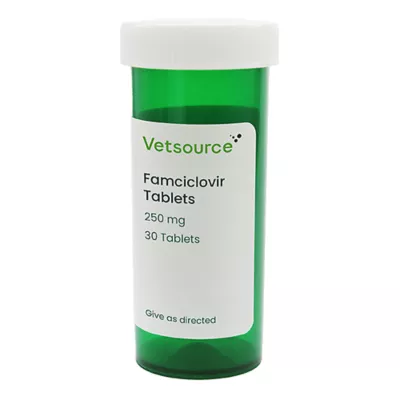 Product Famciclovir (Generic) Tablets - 250 mg, 30 Count