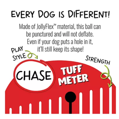 Product Jolly Pet Winter Snow Globe Ball 3"