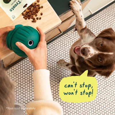 Product WOOF Forager Puzzle Chicken Natural Dog Treats