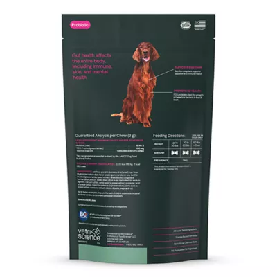 Product VetriScience Gut Health Dog