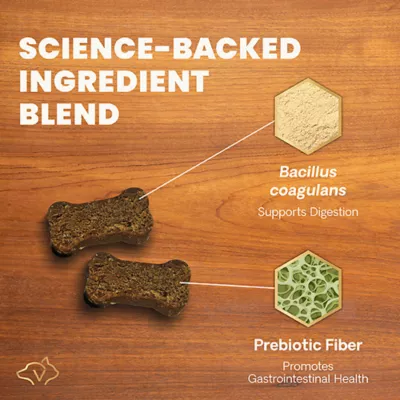 Product VetriScience Gut Health Dog