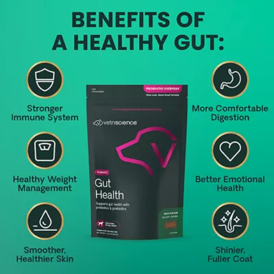 Product VetriScience Gut Health Dog