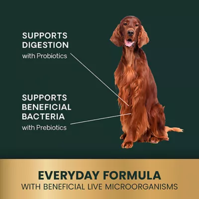 Product VetriScience Gut Health Dog