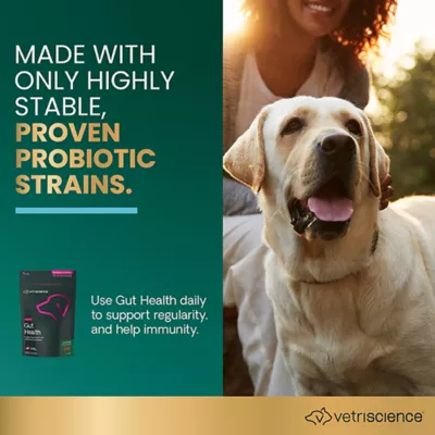 Product VetriScience Gut Health Dog