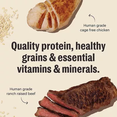 Product The Honest Kitchen Essential Clusters Adult Dry Dog Food - Beef & Chicken