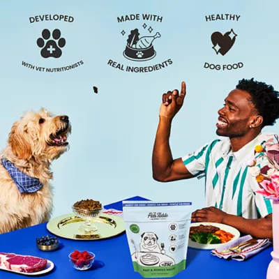 Product The Pets Table Air-Dried Adult Dry Dog Food - Beef & Berries
