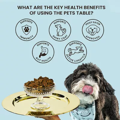 Product The Pets Table Air-Dried Adult Dry Dog Food - Beef & Berries