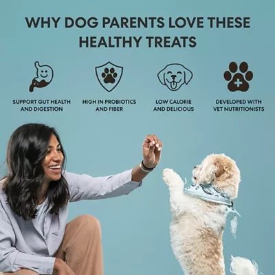 Product The Pets Table Belly Bites Air-Dried Adult Dog Treats - Beef, 5 oz