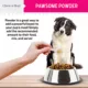 Product Chew + Heal Omega Skin + Coat Powder Supplement for Dogs