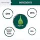 Product Chew + Heal Vegan Omega 3 Algae Oil for Dogs