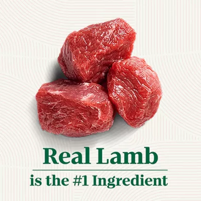 Product Nutro Natural Choice Large Breed Puppy Dry Dog Food - Lamb & Brown Rice Flavour