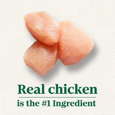 Product Nutro Natural Choice Large Breed Senior Dry Dog Food - Chicken & Brown Rice Flavour, 13.6 kg