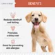 Product Chew + Heal Salmon Flavored Omega Skin + Coat Supplement for Dogs