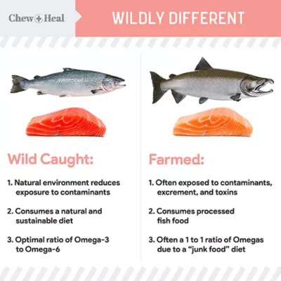Product Chew + Heal MSC-Certified Sustainable Wild-Caught Alaskan Salmon Oil with Pump