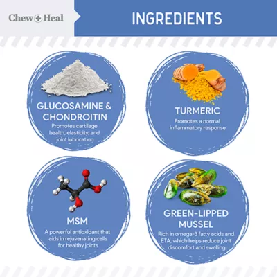 Product Chew + Heal Senior Advanced Liquid Hip & Joint Supplement for Dogs with Pump