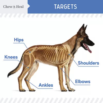 Product Chew + Heal Senior Advanced Liquid Hip & Joint Supplement for Dogs with Pump