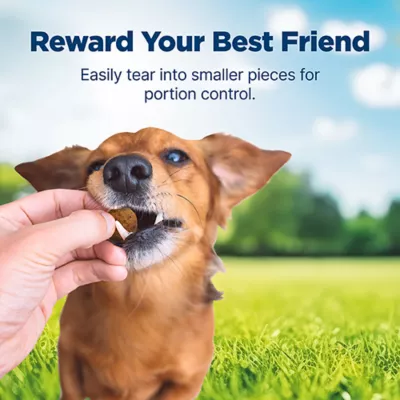 Product Blue Buffalo® Nudges Homestyle All Life Stages Dog Treats - Beef & Rice 16 oz