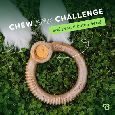 Product Benebone® Ring Shape Dog Chew Toy Bacon Flavor