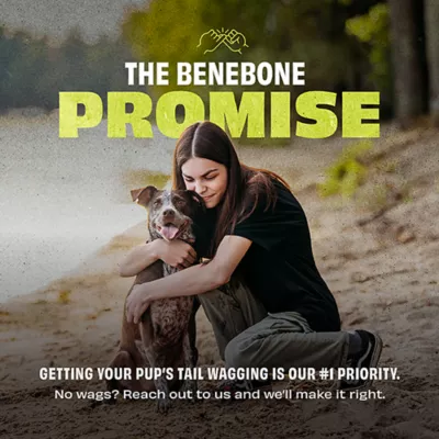 Product Benebone® Natural Rubber Bone Medium Size