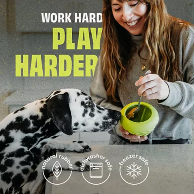 Product Benebone® Natural Rubber Cone Dog Toy