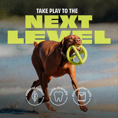 Product Benebone® Natural Rubber Tug Toy