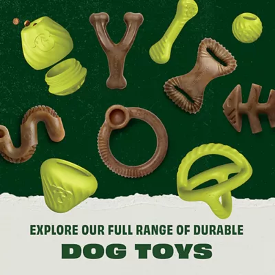 Product Benebone® Natural Rubber Tug Toy