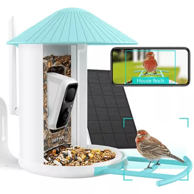 Product Birdfy Smart Bird Feeder