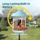 Product Birdfy Smart Bird Feeder
