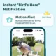 Product Birdfy Smart Bird Feeder