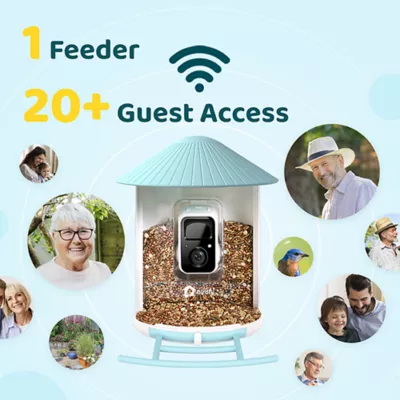 Product Birdfy Smart Bird Feeder