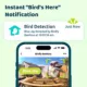 Product Birdfy Bamboo Solar Smart Bird Feeder