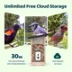 Product Birdfy Smart AI Solar Bird Feeder