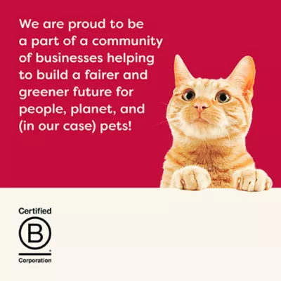 Product Applaws Cat Treats - Puree, Holiday, Variety Pack, 6 Count, 3 OZ