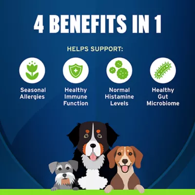 Product Pet Protect Dog Allergy & Immune+, Vet-Formulated Seasonderm, Soft Chews, 60 Count