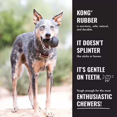 Product KONG® Extreme Tire Small