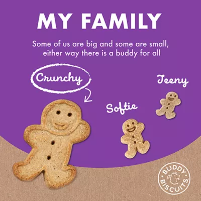 Product Buddy Biscuits All Life Stages Dog Biscuits - Assorted Flavors with Chicken, Beef, and Cheddar 16 oz