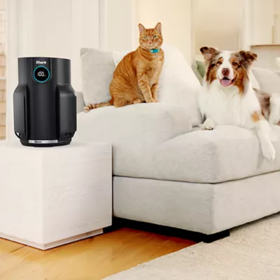 Product Shark HP152C NeverChange Air Purifier, HEPA Filtration and Odour Neutralization