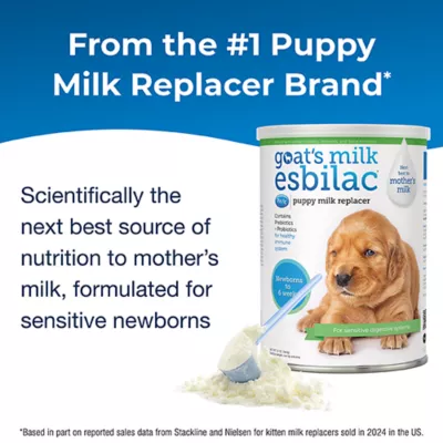 Product PetAg Goat's Milk Esbilac Powder, 12 oz